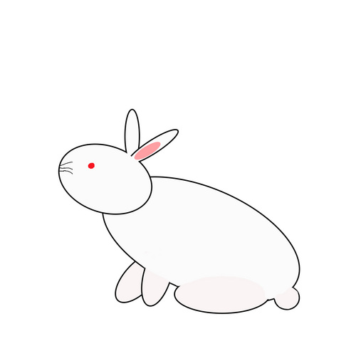 ウサギ.jpg